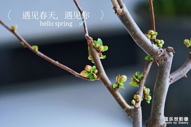 春天你好！