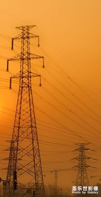 【周末拍點啥】隨拍