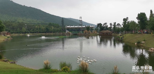 太湖龍之夢動物世界