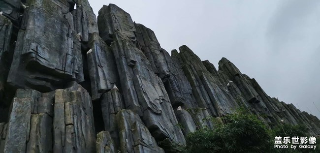 太湖龍之夢動物世界