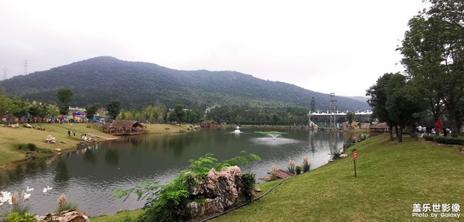 太湖龍之夢動物世界