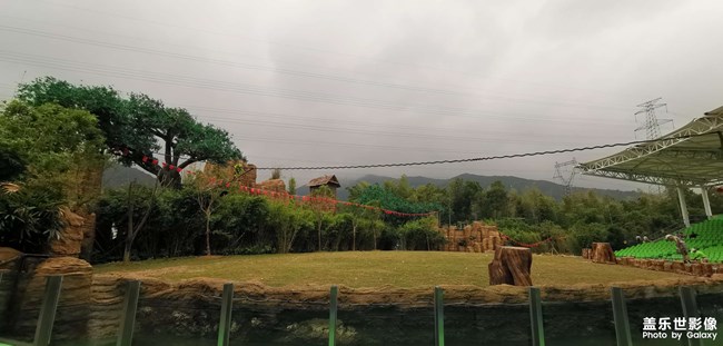 太湖龍之夢動物世界