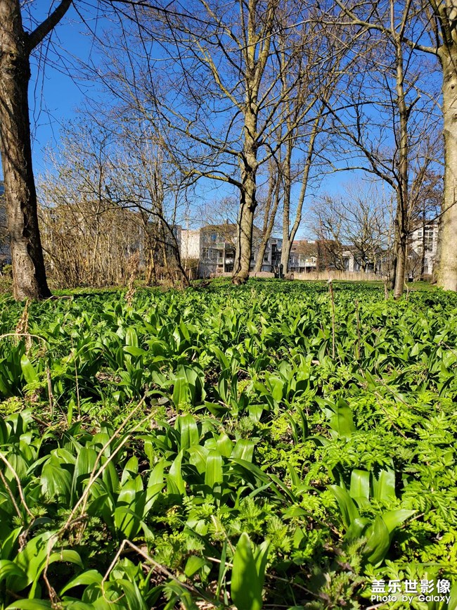 剛薅完資本主義羊毛大家猜猜這是啥