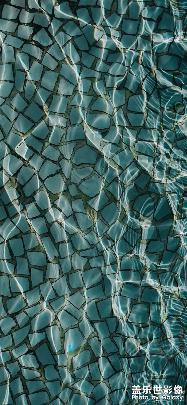 壁紙請(qǐng)查收!