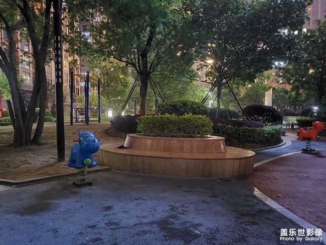 谷歌相機(jī) by 三星S9+