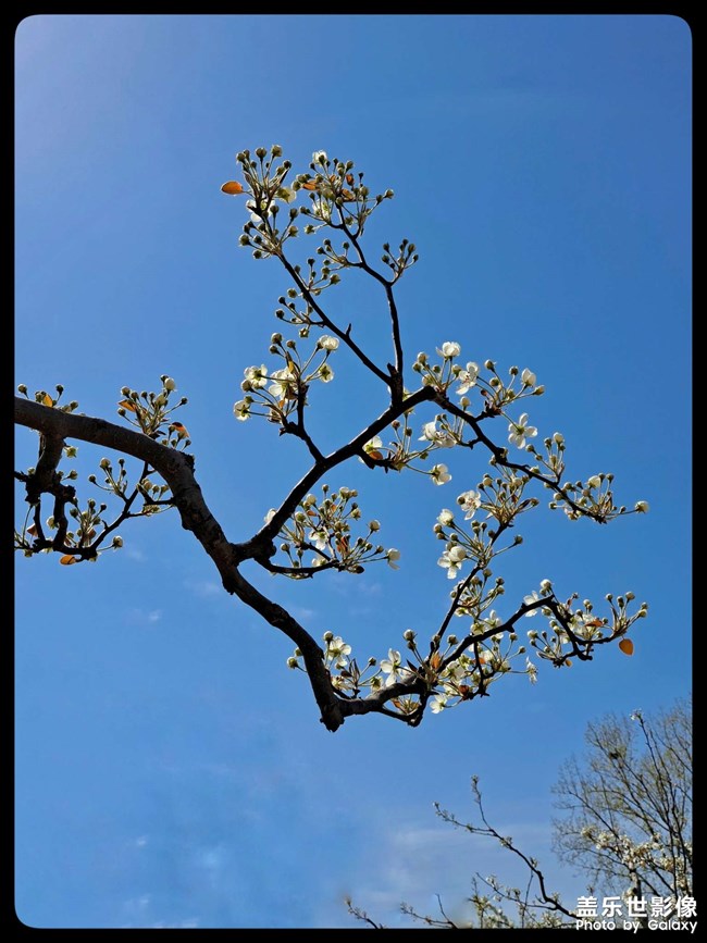 《每周星鮮事》 第61期