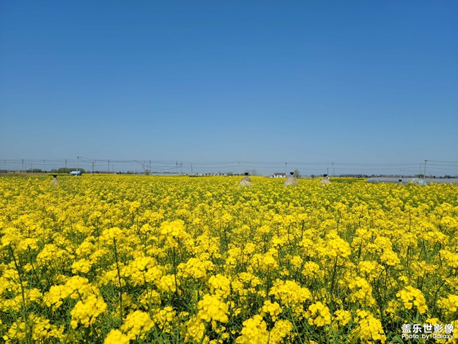 《每周星鮮事》 第61期