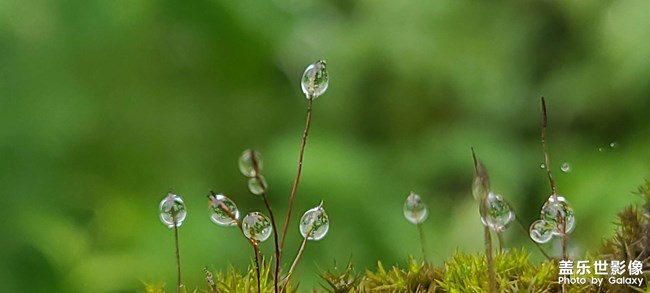 《每周星鮮事》 第61期