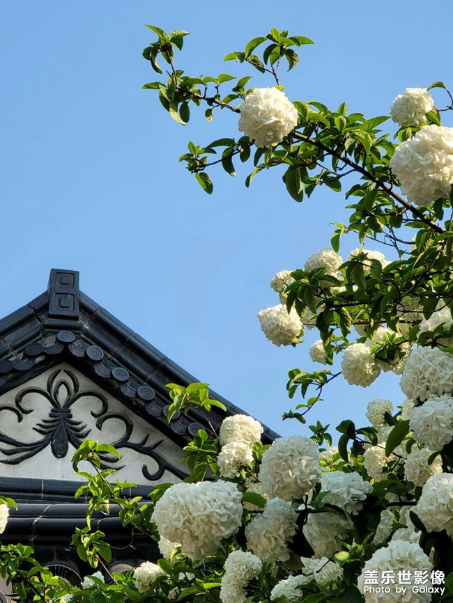 《每周星鮮事》 第61期