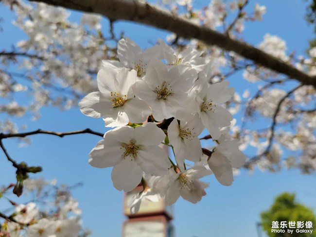 《每周星鮮事》 第61期