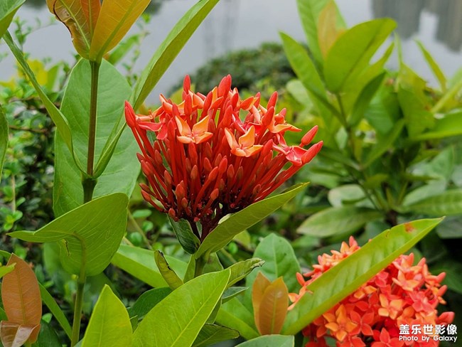 明明調(diào)用3倍