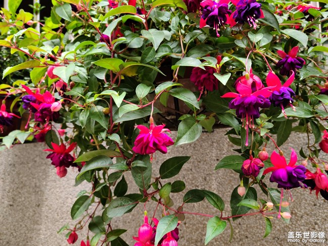 廣州一秒入夏，好悶熱