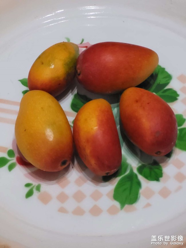 新機(jī)試鏡。