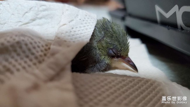 小家伙太黏人啦??