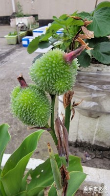 【發(fā)現(xiàn)之美】+路邊印象