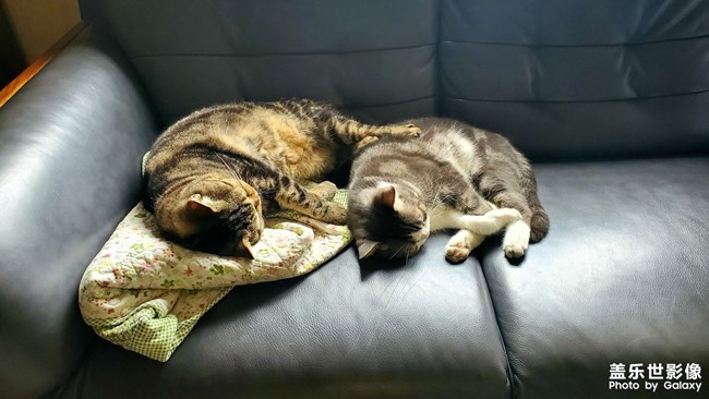 及時(shí)行樂(lè)