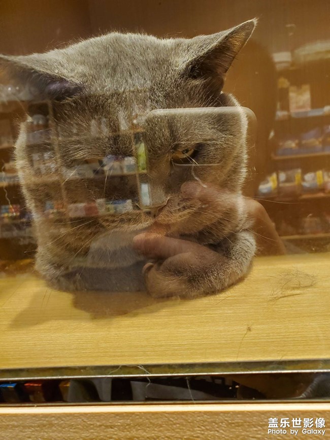 狗剩