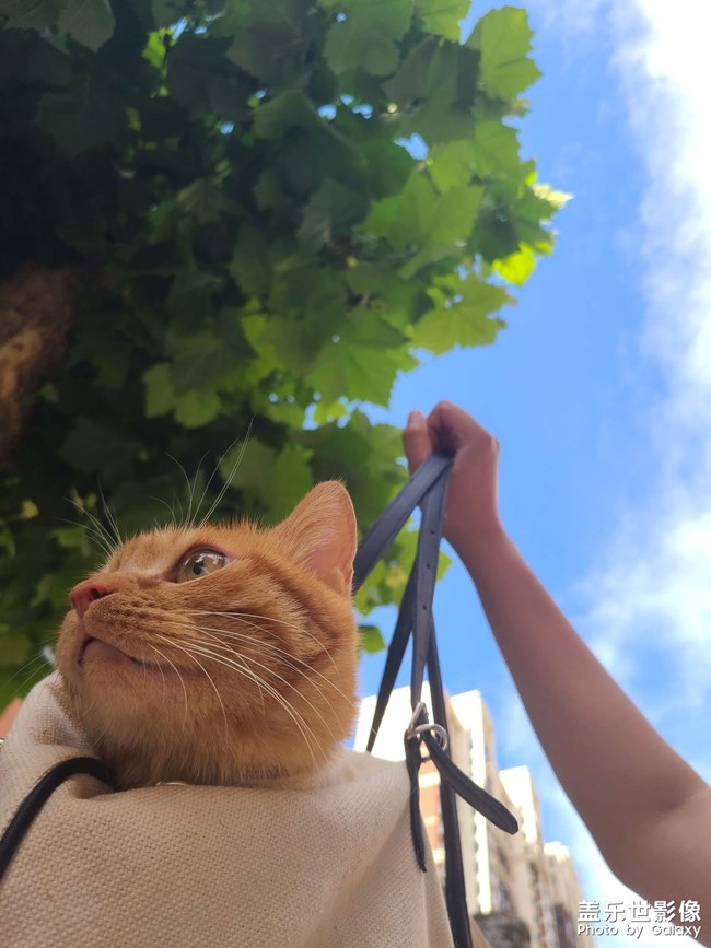 天氣真好，就是有點熱