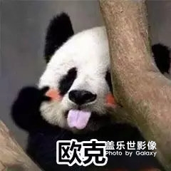 圖片帖子之表情包