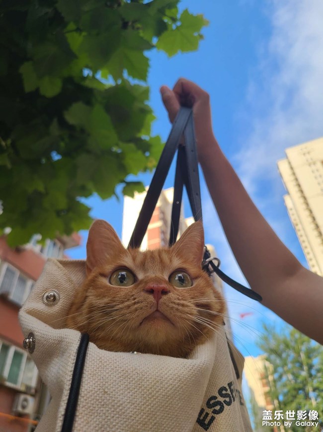 天氣真好，就是有點熱