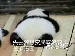圖片帖子之表情包