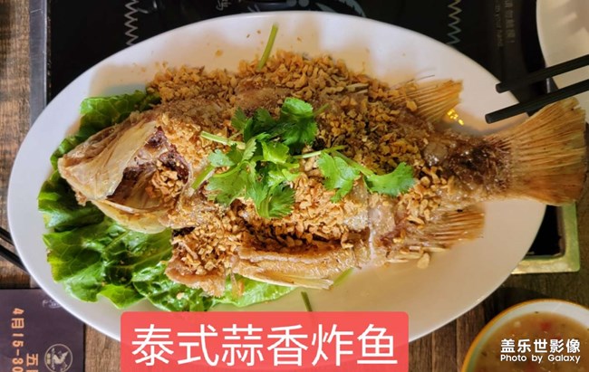 品嘗泰國美食、泰式蒜香炸魚、冬蔭功海鮮