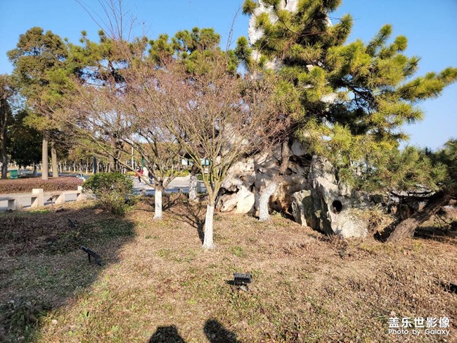 5問蓋樂世社區(qū)經(jīng)理（S21板塊）