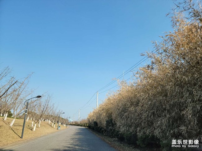 5問蓋樂世社區(qū)經(jīng)理（S21板塊）