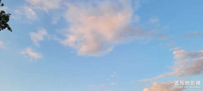 21+手機(jī)信號總是不穩(wěn)定