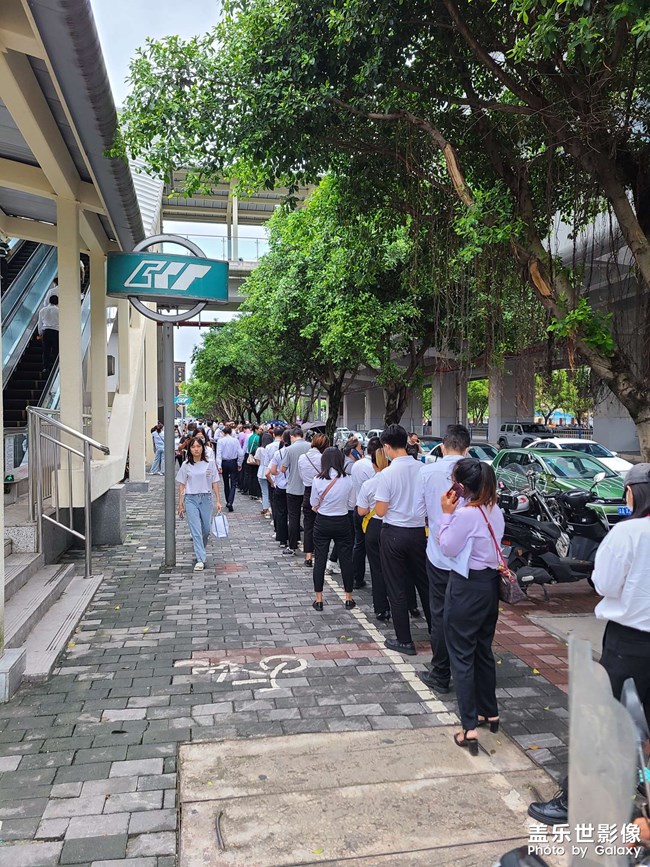 排隊領(lǐng)雞蛋