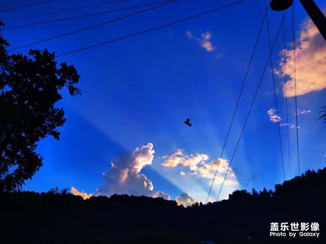 蟬噪林逾靜，鳥鳴山更幽