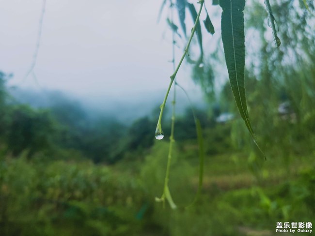蟬噪林逾靜，鳥鳴山更幽