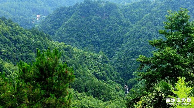 蟬噪林逾靜，鳥鳴山更幽