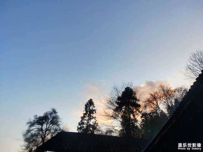 蟬噪林逾靜，鳥鳴山更幽