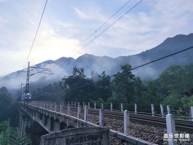 蟬噪林逾靜，鳥鳴山更幽