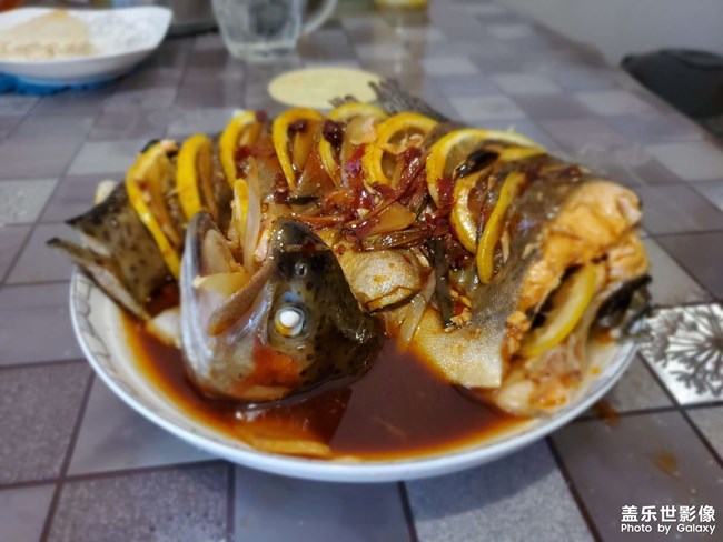 做個(gè)虹鱒魚(yú)