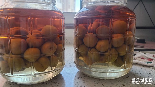 青梅酒后續(xù)