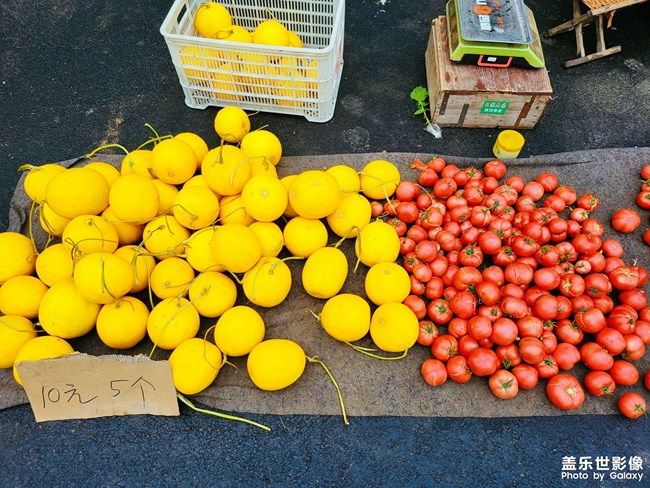 每日一拍系列，大集見聞。