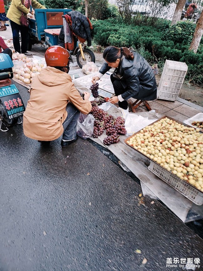 每日一拍系列，大集見聞。