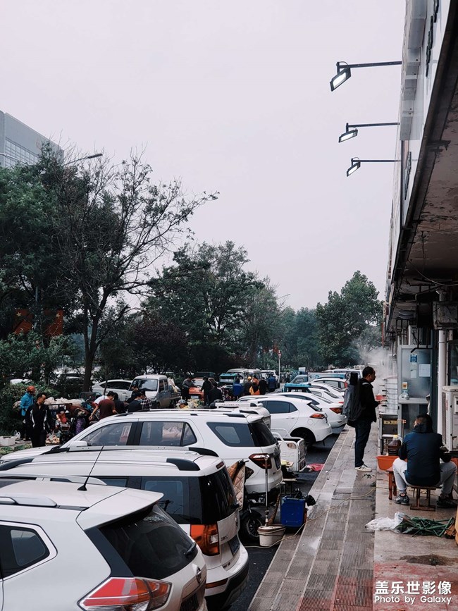 每日一拍系列，大集見聞。