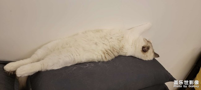 翻個(gè)身繼續(xù)睡