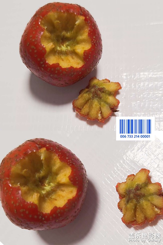 經(jīng)典山楂??罐頭 經(jīng)典山楂??罐頭