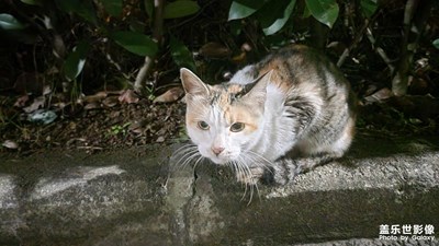 【難忘2021】+喜歡??的照片