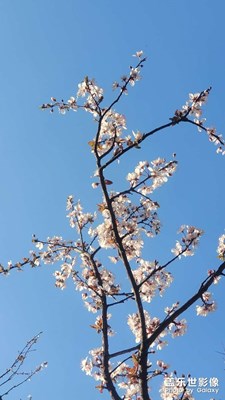 【難忘2021】+回憶