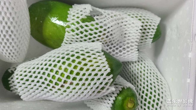 ??東北的天已經(jīng)不適合網(wǎng)購水果了