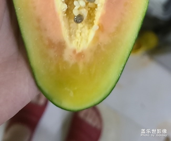 ??東北的天已經(jīng)不適合網(wǎng)購水果了