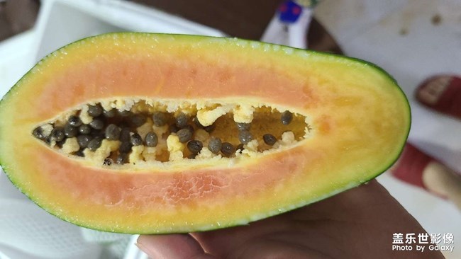 ??東北的天已經(jīng)不適合網(wǎng)購水果了