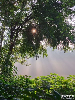 【光影瞬間】光影之美