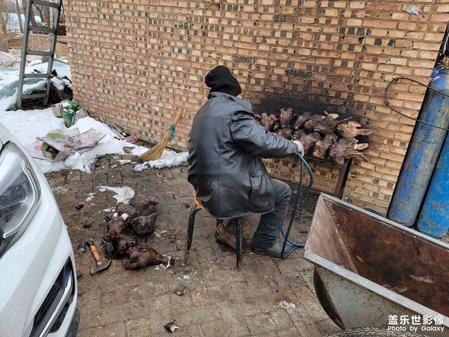 羊肉羊蹄羊頭美滋滋！