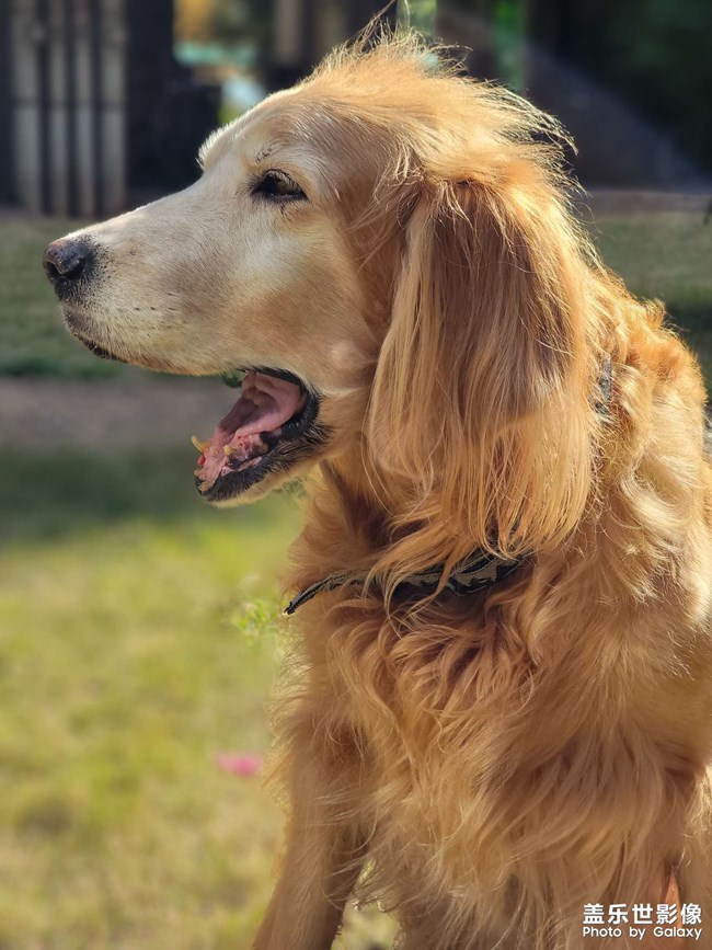 mo姐的晚年生活